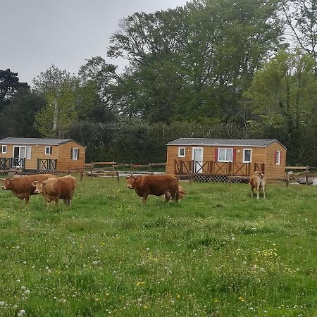 Les Chalets De Bes "Le Campagnard " Lacombe Exterior foto