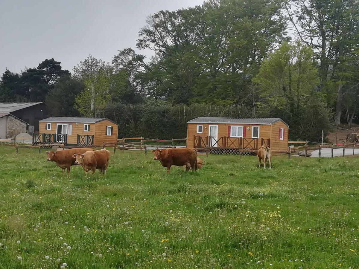 Les Chalets De Bes "Le Campagnard " Lacombe Exterior foto